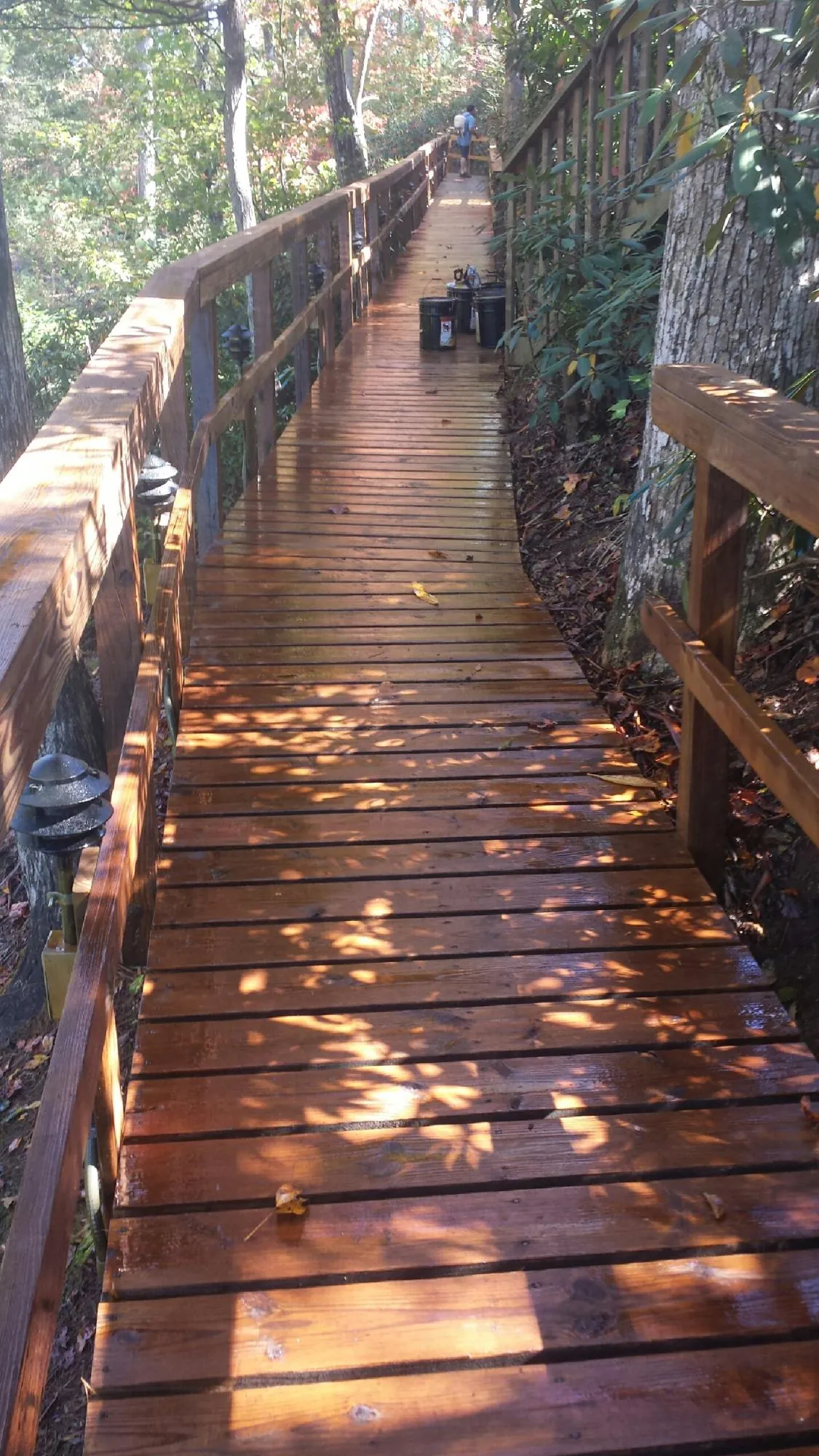 Freshly stained wood walkway winding through the woods in Eddyville